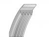 V-Ribbed Belt:FR3E-6C301-FA